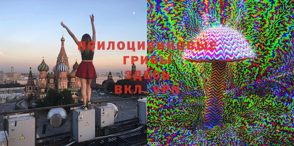 СК Аркадак