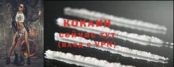 прущие крисы Арсеньев