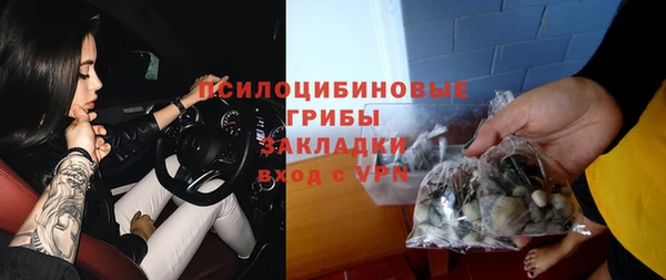 прущие крисы Арсеньев