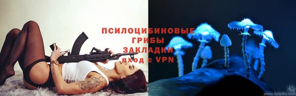прущие крисы Арсеньев