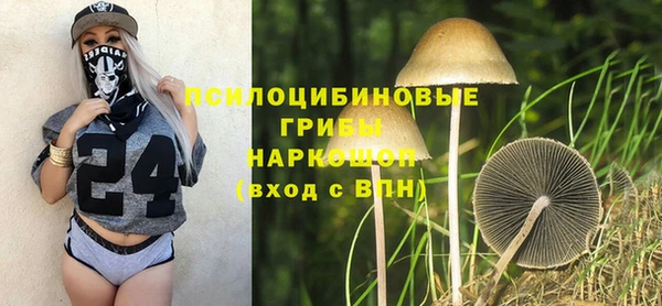 прущие крисы Арсеньев