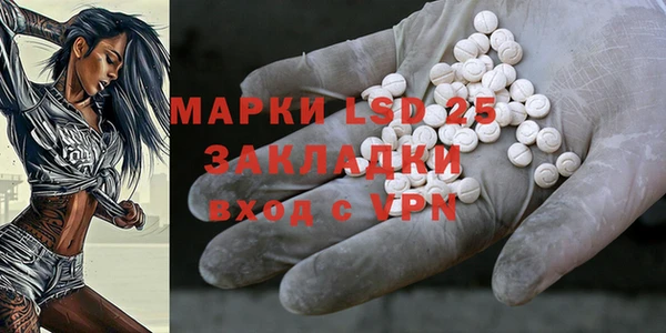 СК Аркадак